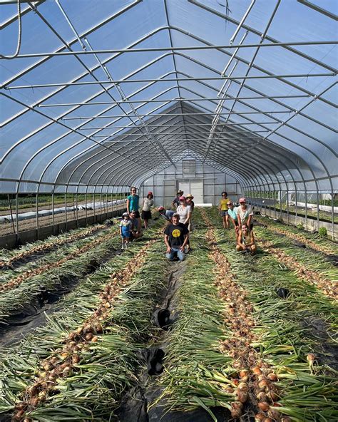 Caretaker & Farm .